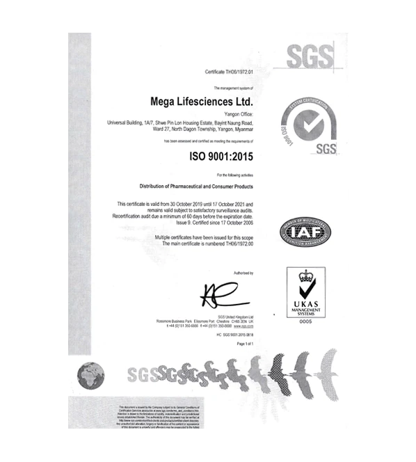 Myanmar ISO 9001:2015