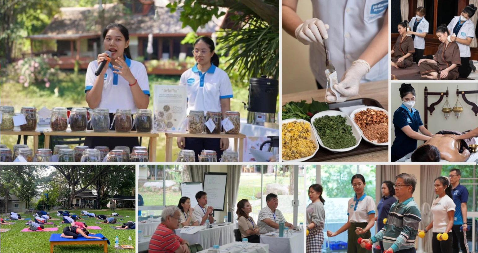 Health Camps and Natural Wellness Programs